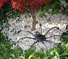 Skulptu_Spinne_Schweissatelier_Rolf_Schär